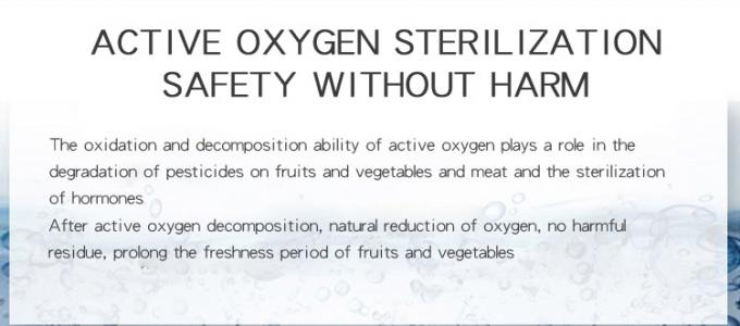 Homefish Panel Kaca Portable Buah Sayuran Sterilisasi Mesin Multifungsi Cerdas 400mg / jam Ozon Generator untuk Dapur 3