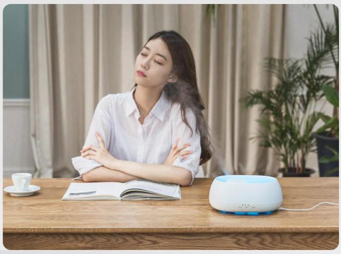 HOMEFISH Drop Shipping Electric Mini Humidifier Ultrasonik Aroma Humidifier Remote Controller 14